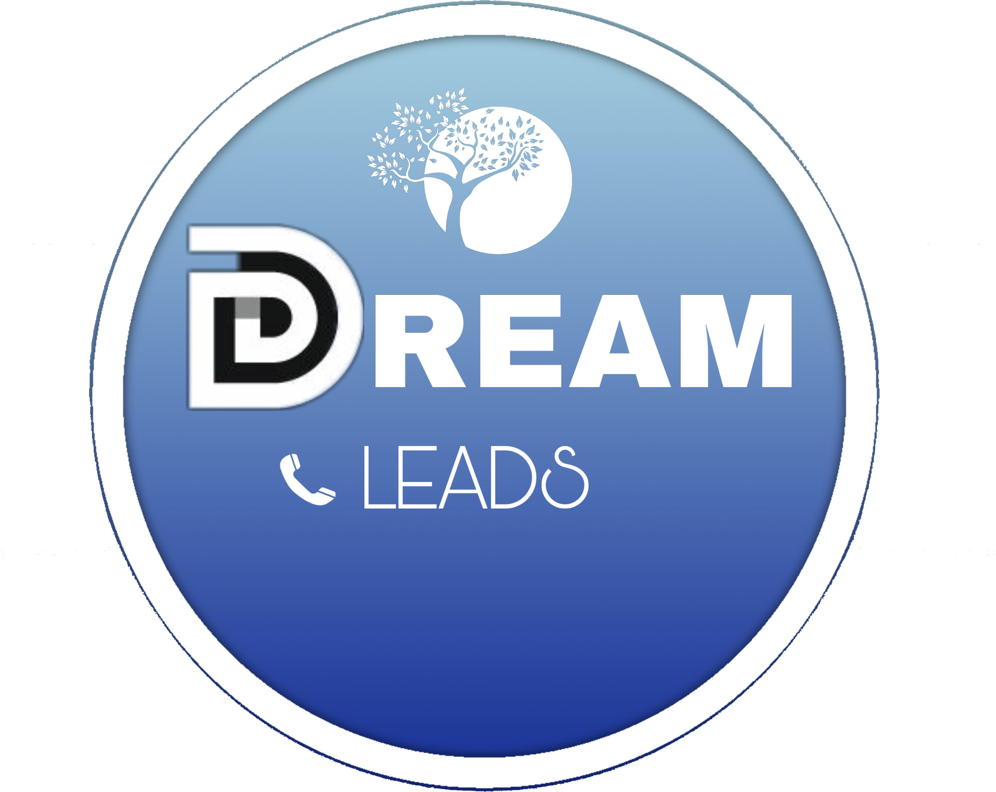 Dreamleadssolution